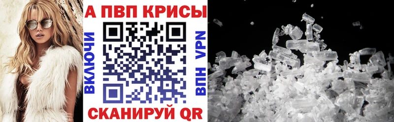 дарнет шоп  Казань  A PVP крисы CK 