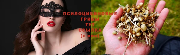 гидропоника Богородск