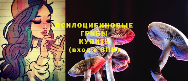 мдпв Богданович