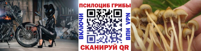 наркошоп  Казань  Псилоцибиновые грибы прущие грибы 